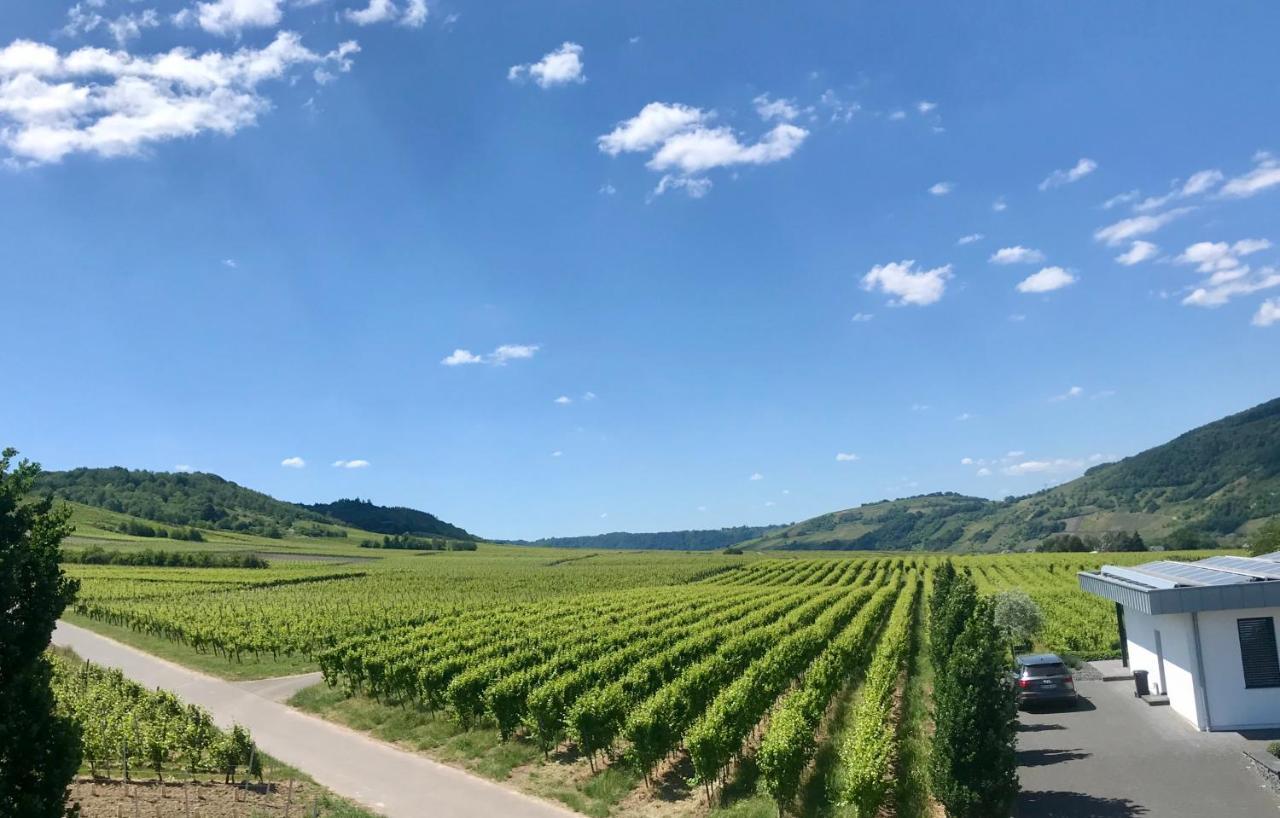 Hotel Weingut Gehlen-Cornelius Brauneberg Exteriér fotografie