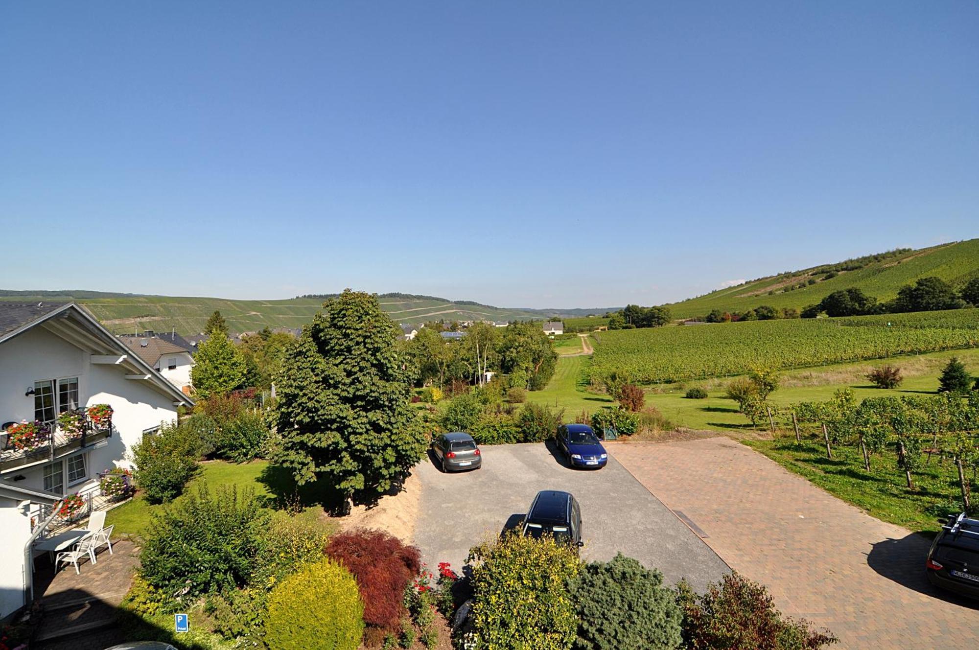 Hotel Weingut Gehlen-Cornelius Brauneberg Exteriér fotografie